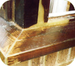 Window Care Repairs